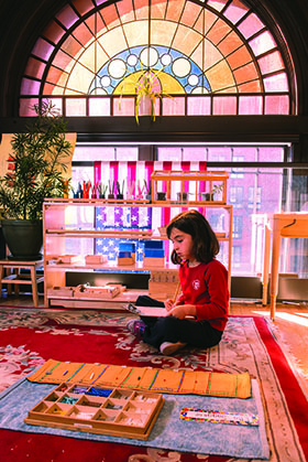 Ten Essential Montessori Principles  (Plus One!)