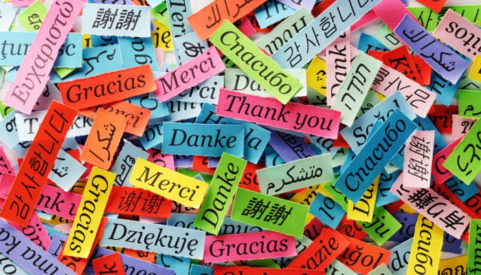 An Attitude of Gratitude