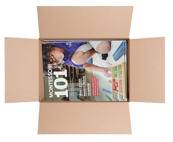 A Case of the New Montessori 101: What Every Parent Ought to Know