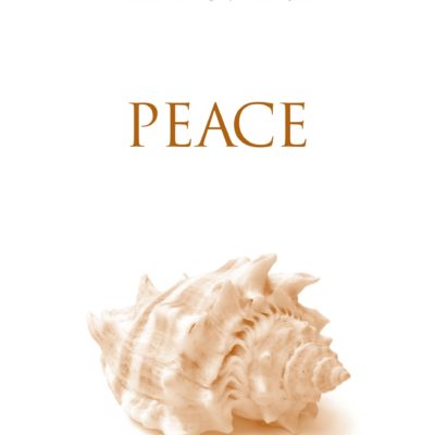 The Self-Awakened Child - Peace, eBook by Jonathan Wolff
