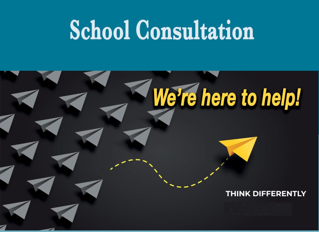 School Consulting School Consulting