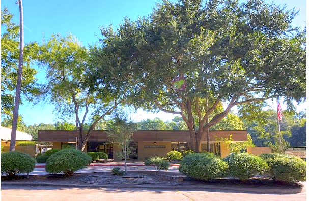 pines montessori