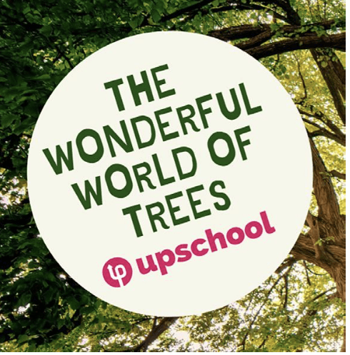 The Wonderful World of trees